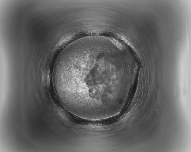 X0000085750685200703161055