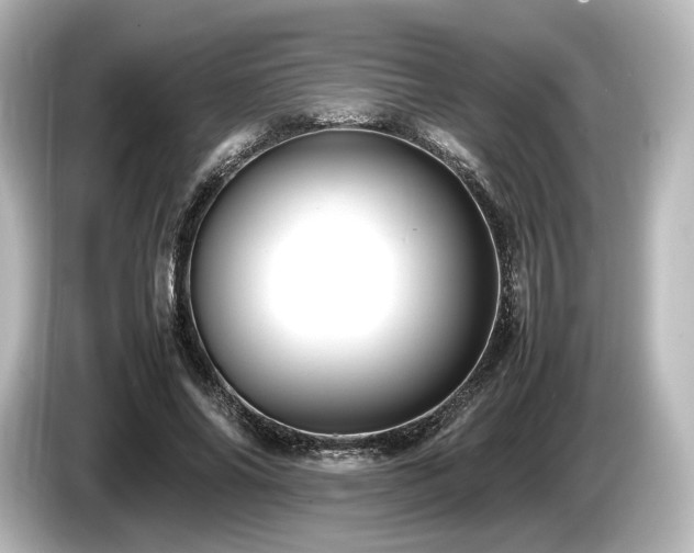 X0000085750686200703161055