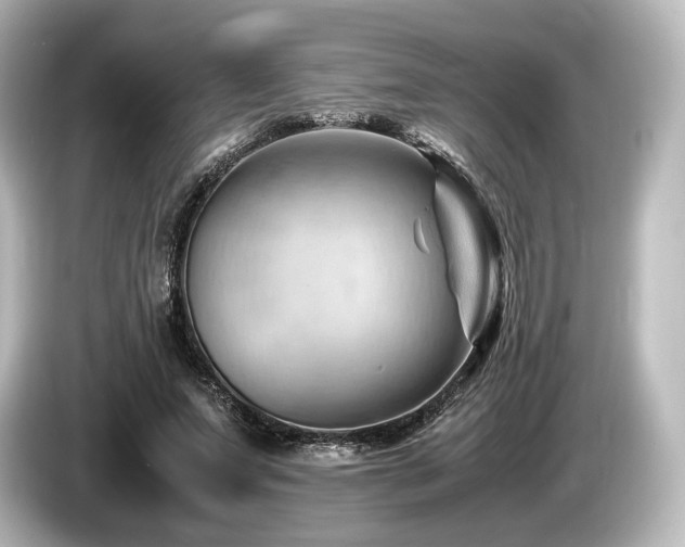 X0000085750687200703161055