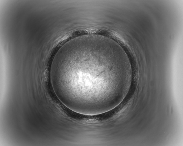 X0000085750689200703161055
