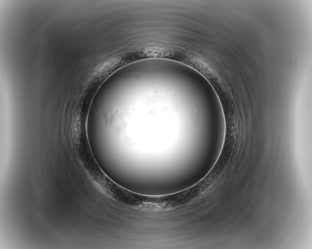 X0000085750690200703161055