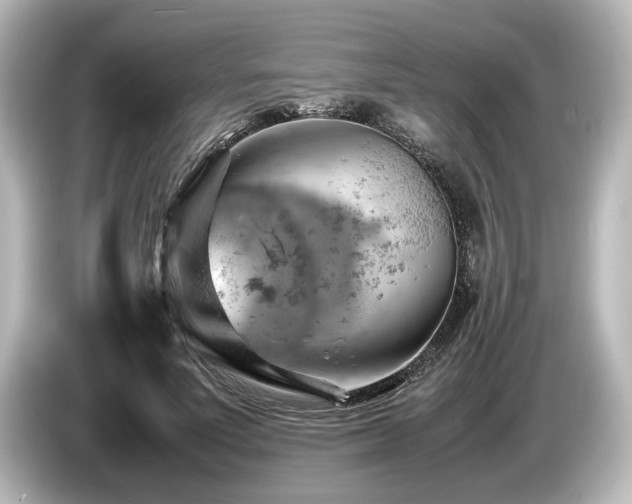 X0000085750691200703161055