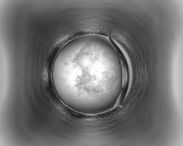 X0000085750692200703161055