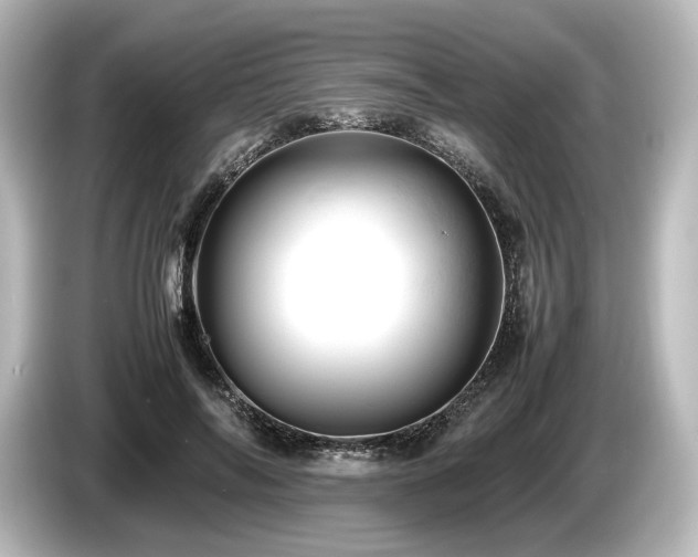 X0000085750694200703161055