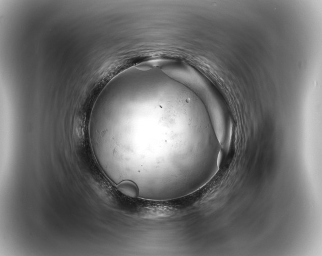 X0000085750695200703161055