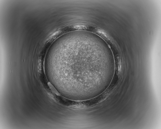 X0000085750696200703161055