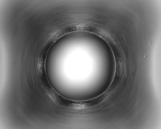 X0000085750698200703161055