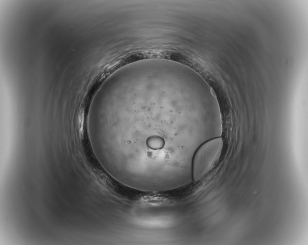 X0000085750699200703161055
