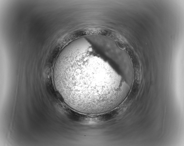 X0000085750701200703161055