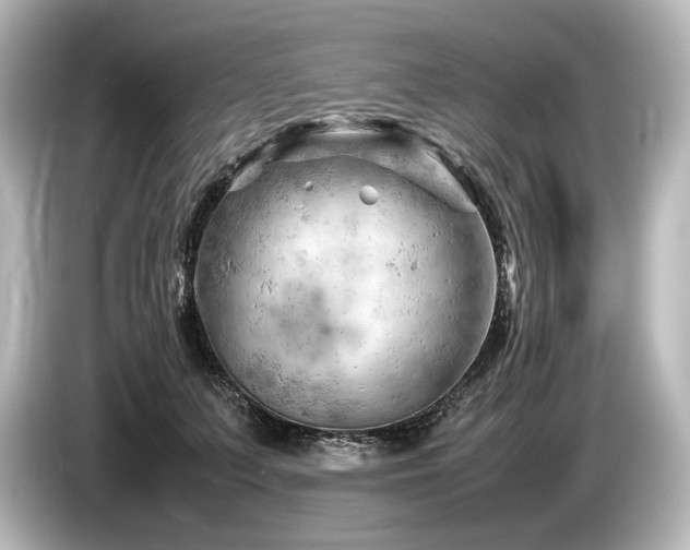 X0000085750703200703161055
