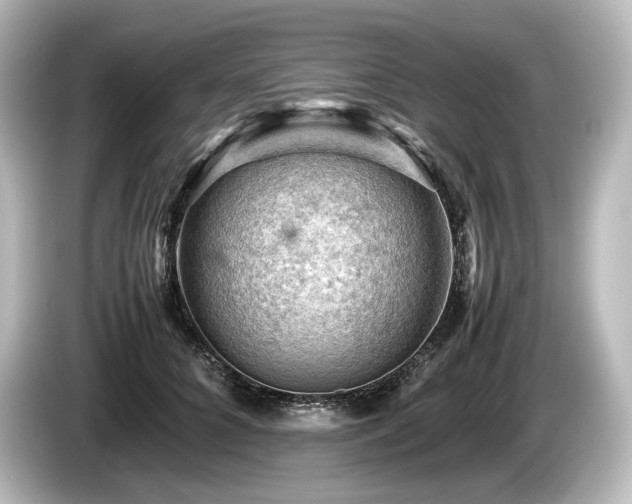 X0000085750704200703161055