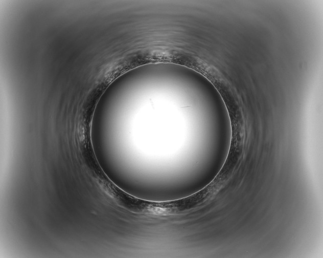 X0000085750706200703161055
