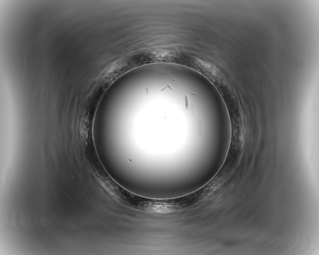 X0000085750710200703161054