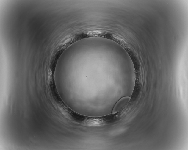 X0000085750711200703161054