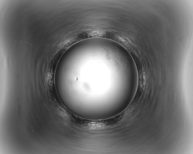 X0000085750714200703161054