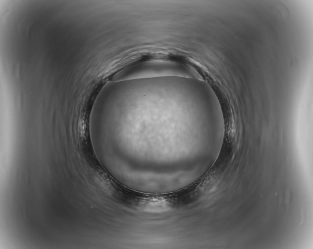 X0000085750715200703161054