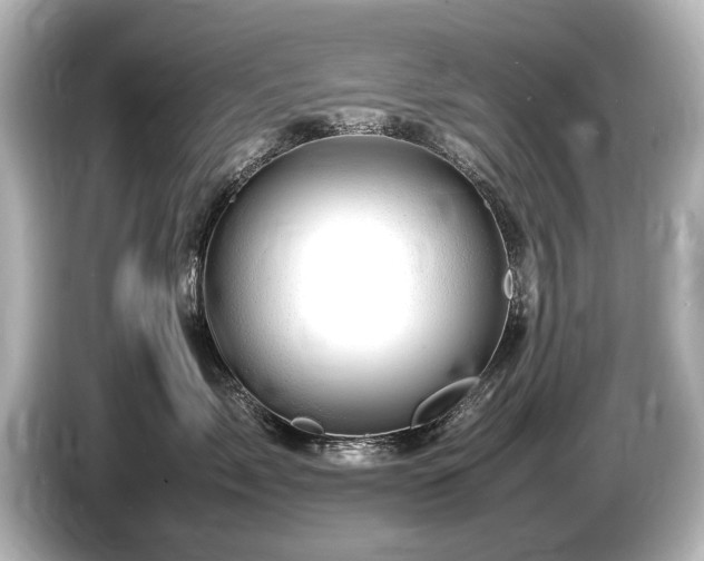 X0000085750717200703161054