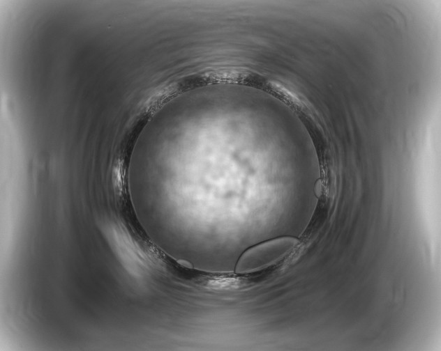 X0000085750718200703161054