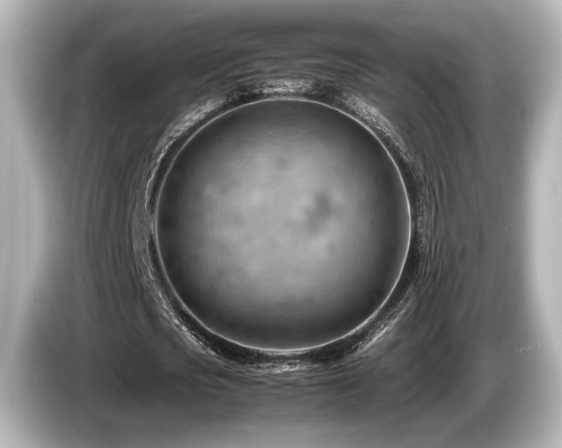 X0000085750721200703161054