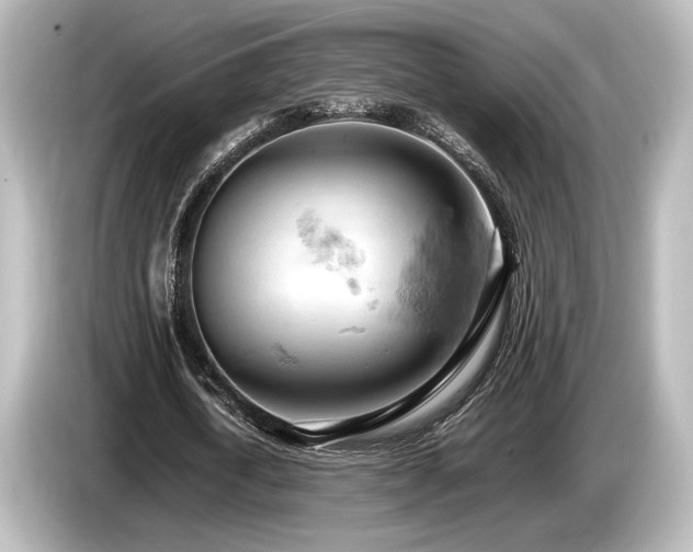 X0000085750722200703161054