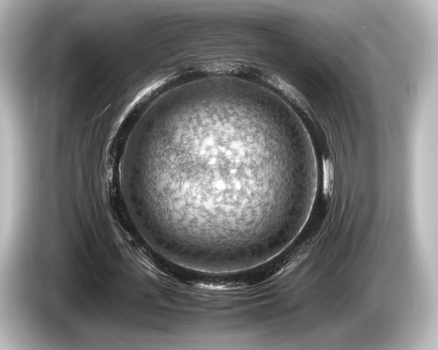 X0000085750723200703161054