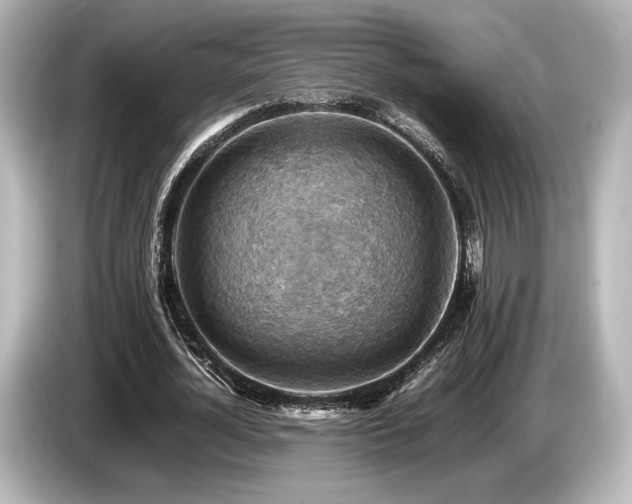 X0000085750724200703161054