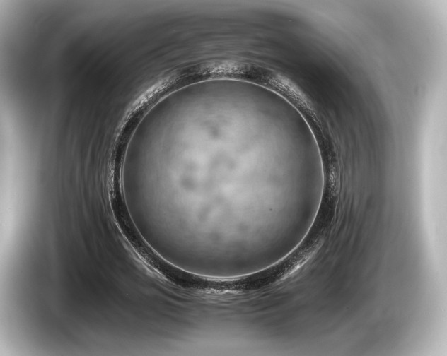 X0000085750725200703161054