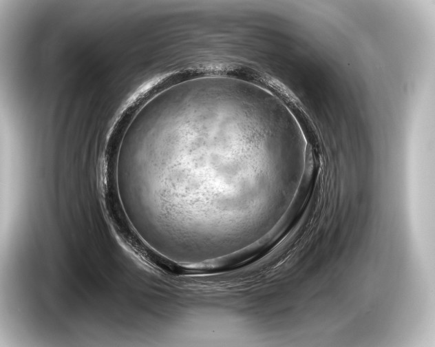 X0000085750726200703161054
