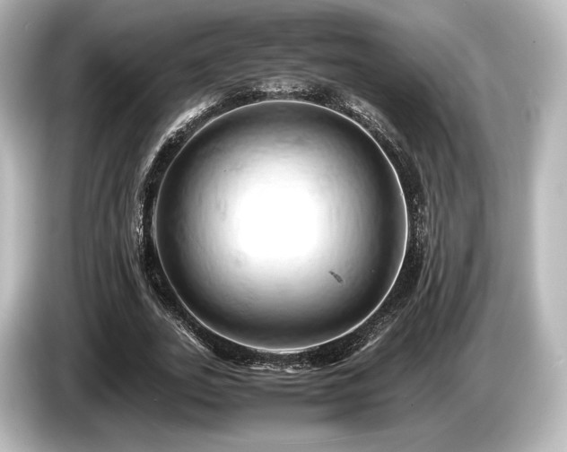 X0000085750727200703161054