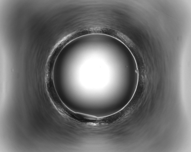 X0000085750728200703161054