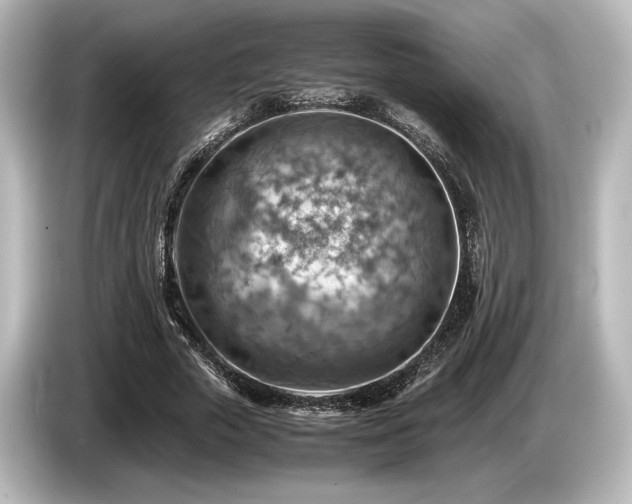 X0000085750729200703161054