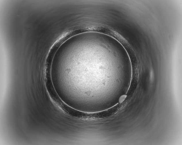 X0000085750730200703161054