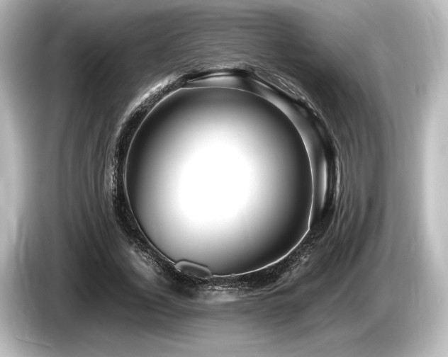 X0000085750732200703161054