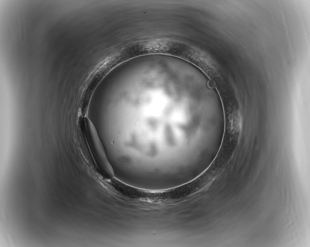 X0000085750733200703161054