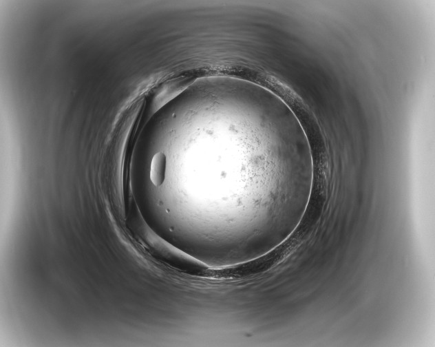 X0000085750734200703161054