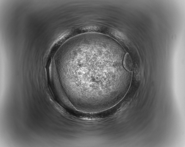 X0000085750735200703161054