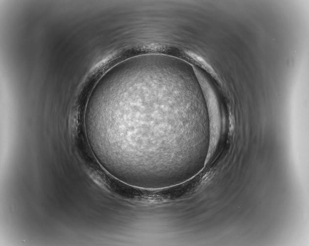 X0000085750736200703161054