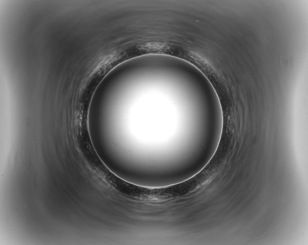 X0000085750739200703161054