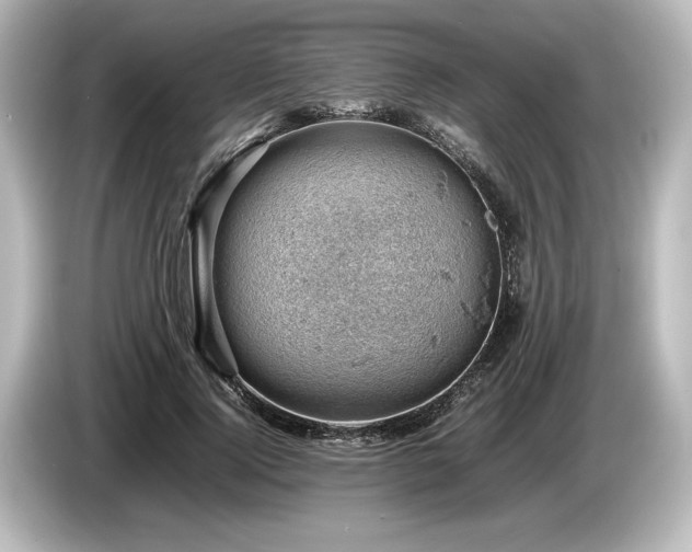 X0000085750740200703161054