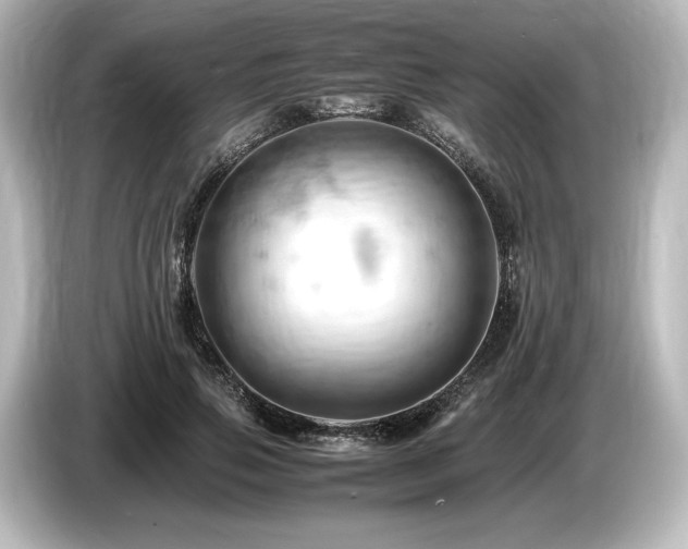 X0000085750741200703161054