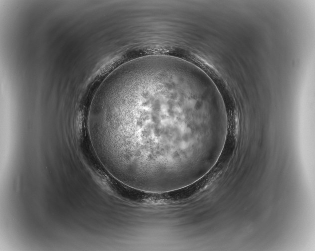 X0000085750742200703161054
