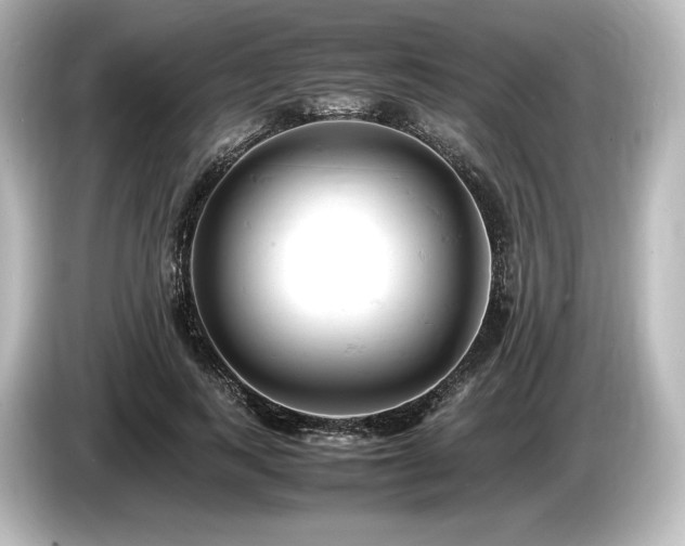 X0000085750743200703161054