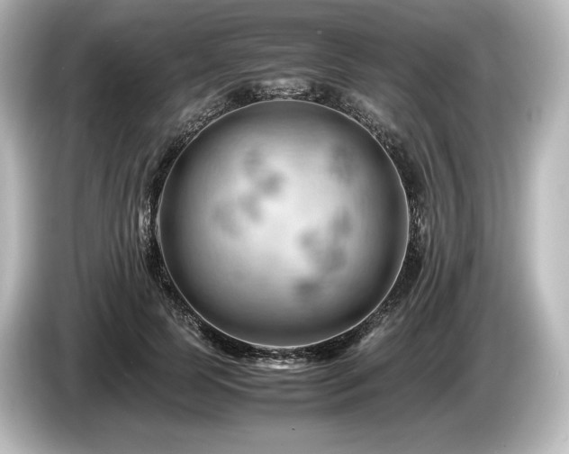 X0000085750745200703161054
