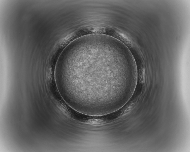 X0000085750748200703161054