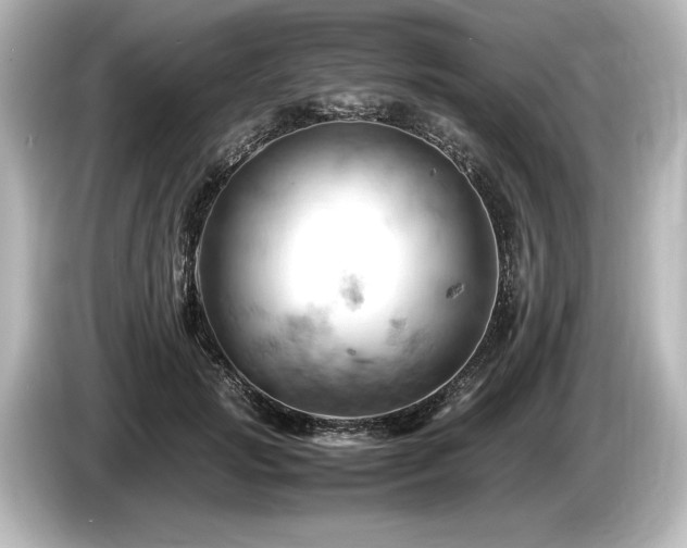 X0000085750749200703161054