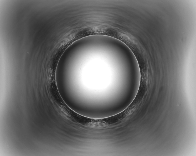 X0000085750752200703161054