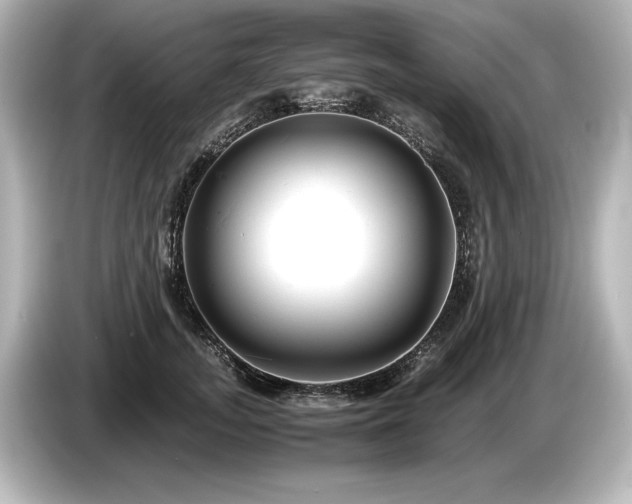 X0000085750755200703161054