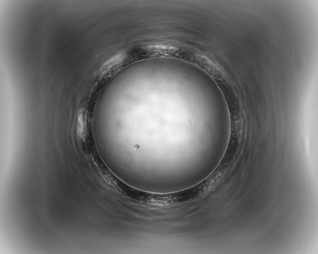 X0000085750757200703161054