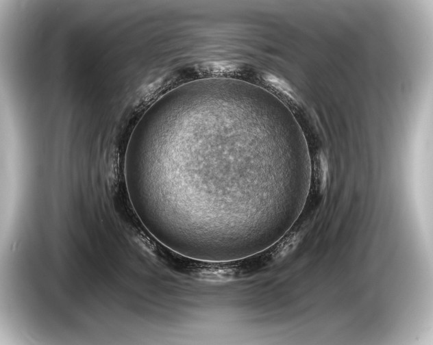 X0000085750760200703161054