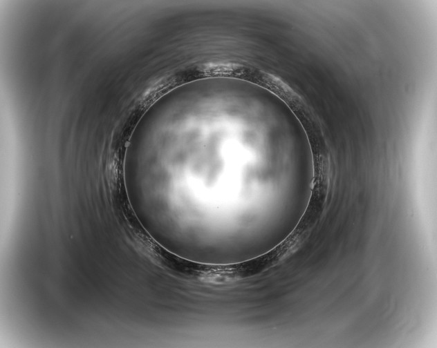 X0000085750761200703161054